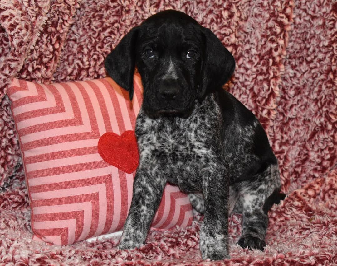 REMI