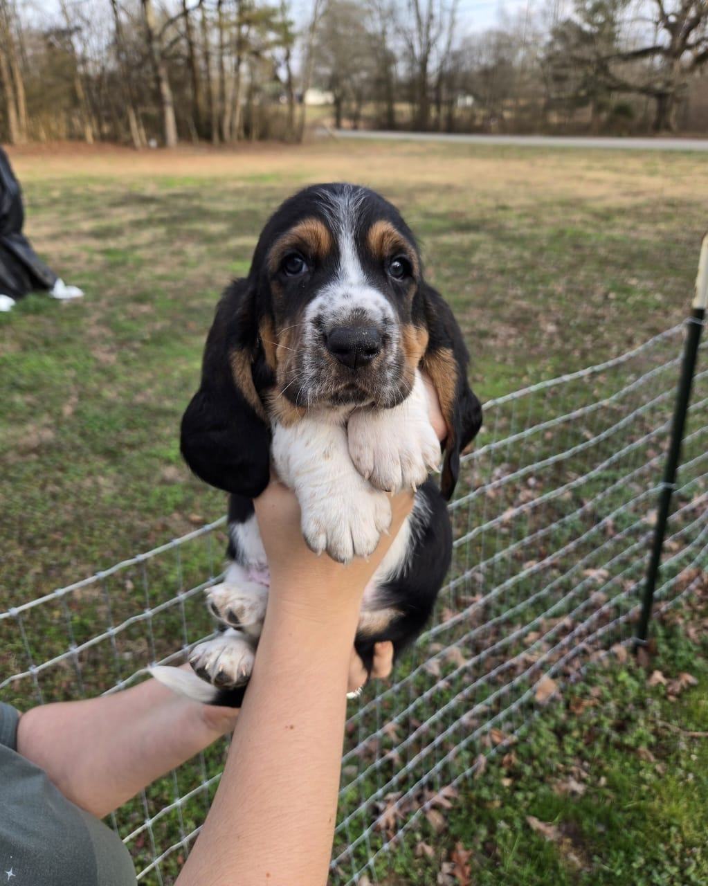 REMI
