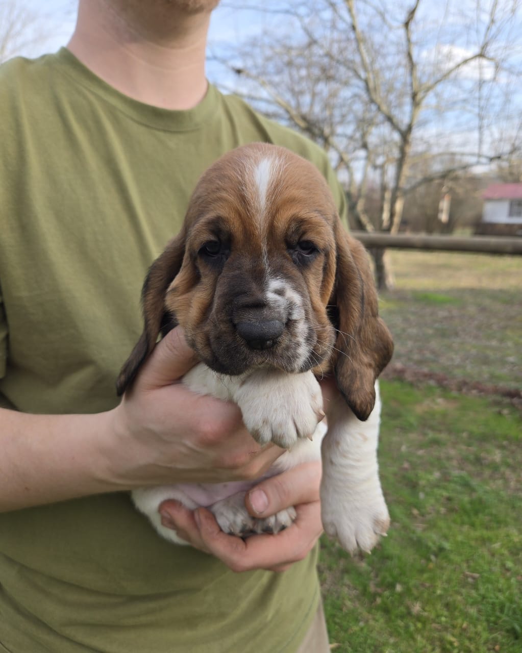 Cooper
