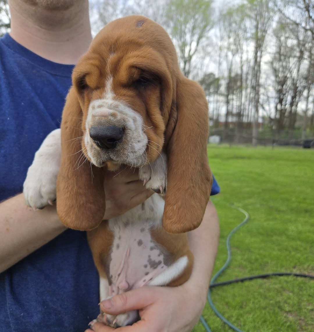 CHARLIE